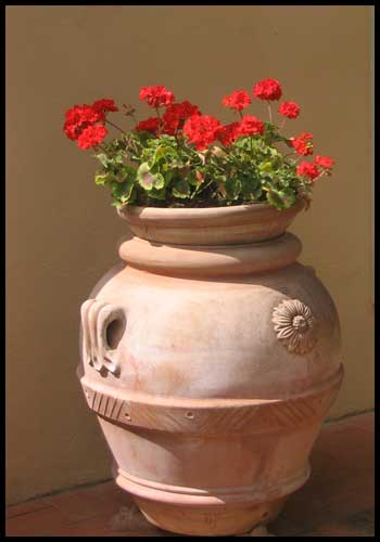 Jar with Red Geraniums